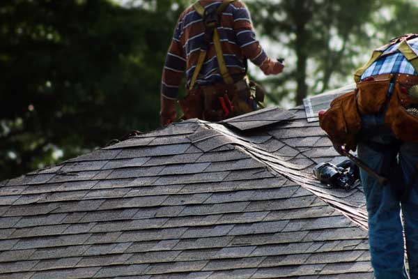 Learn More About Shingle Roofing